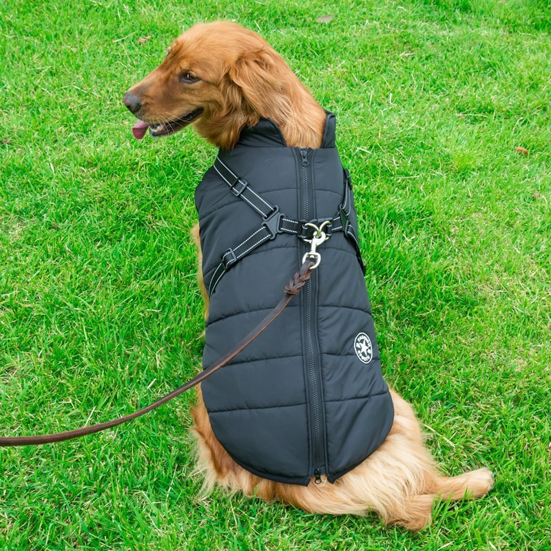 Waterproof Cotton Dog Vest – Comfortable & Stylish in Red, Army Green, Navy Blue, Black & Purple