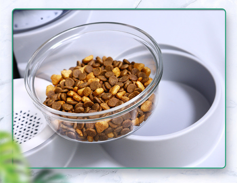 Pet Dual Feeding and Water Bowl with Optional Filter Elements