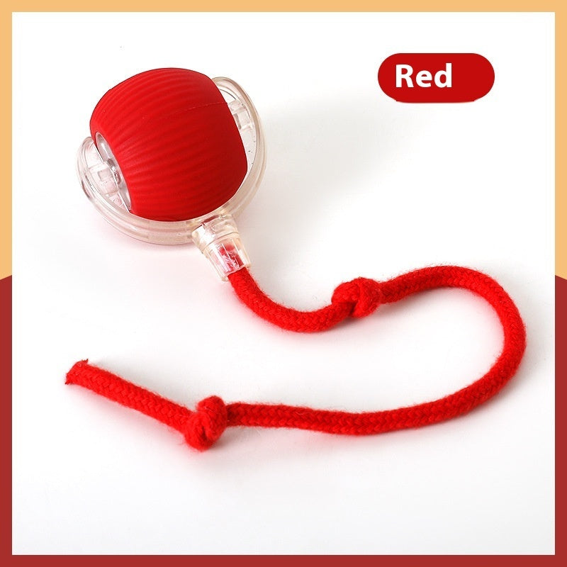 Interactive Cat Toy with Auto Shut-Off and Chirping Sounds