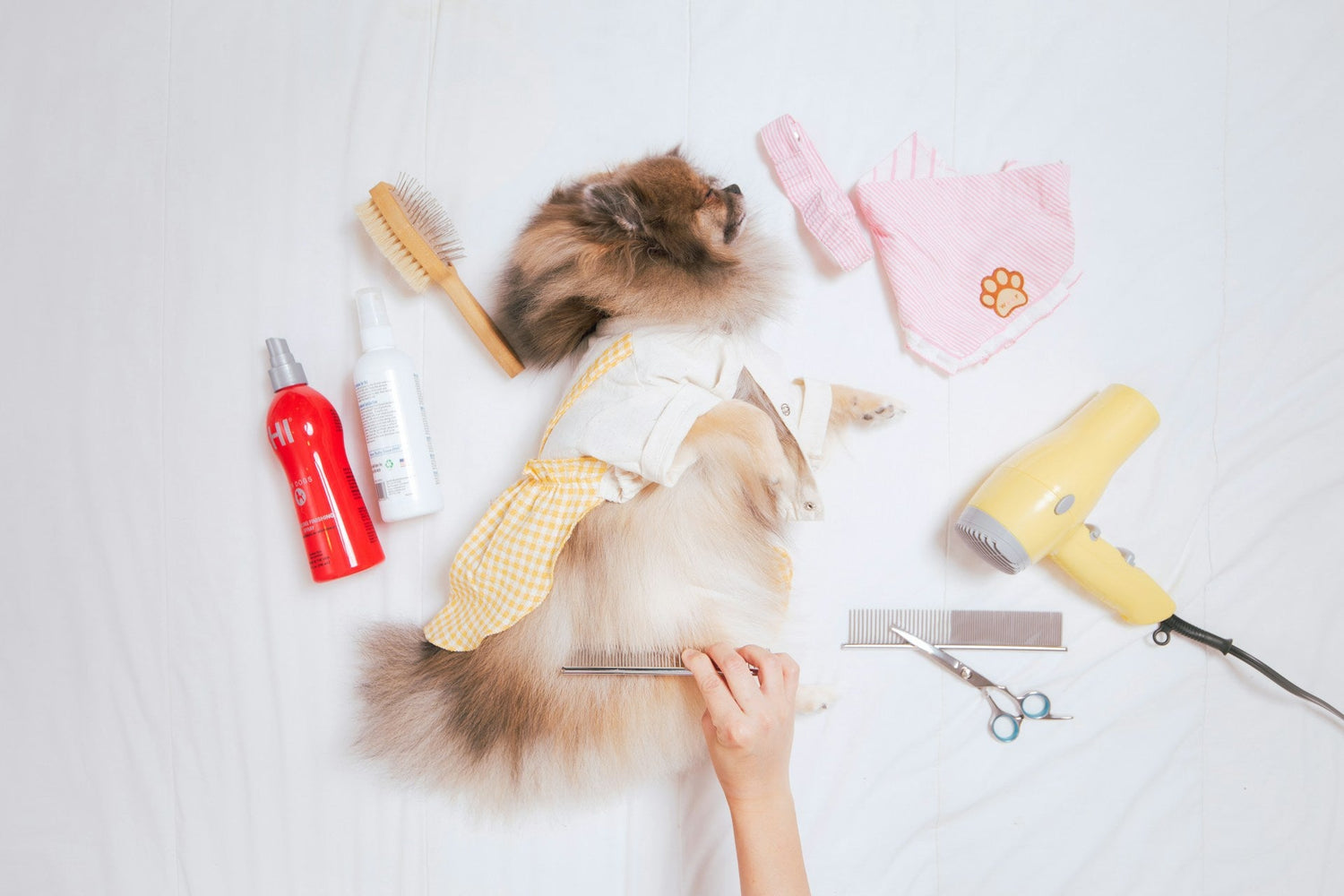 Pet Essentials
