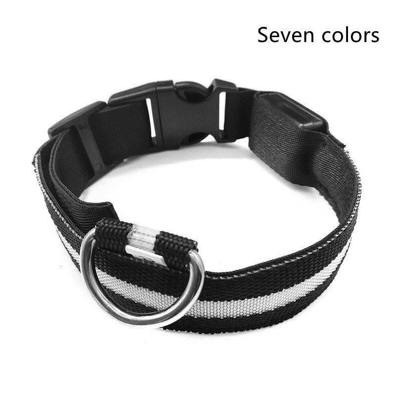 LED Nylon Safety Dog Collar – Adjustable, Waterproof, Rechargeable – 7 Color Options