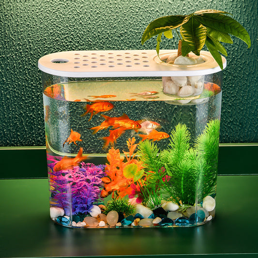 Acrylic Transparent Self-Cleaning Fish Tank with Hydroponic System