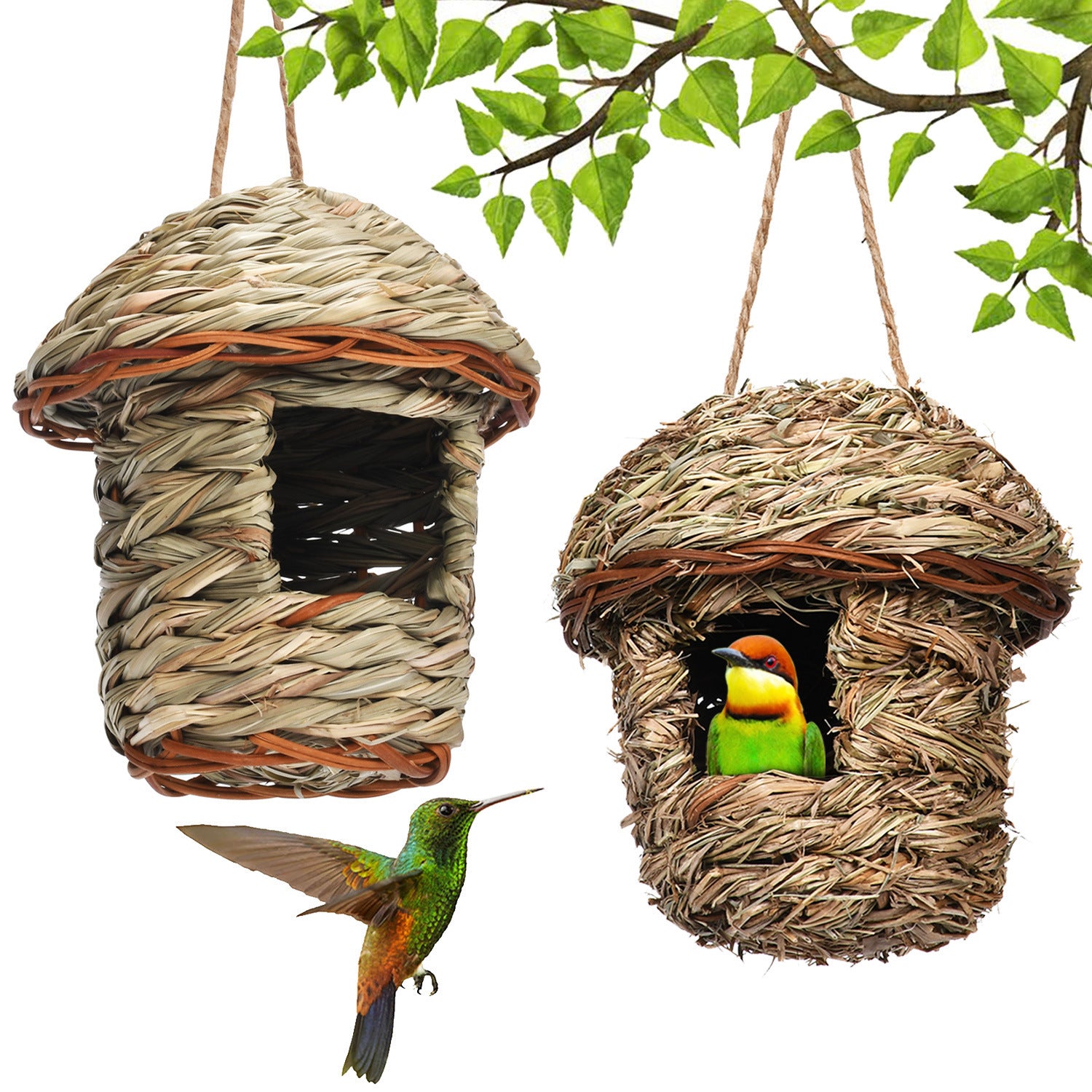 Handcrafted Natural Bird Nest – Small Size