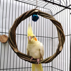 Natural Apple Wood Bird Perch Ring – Chewable Swing Toy for Small & Medium Birds