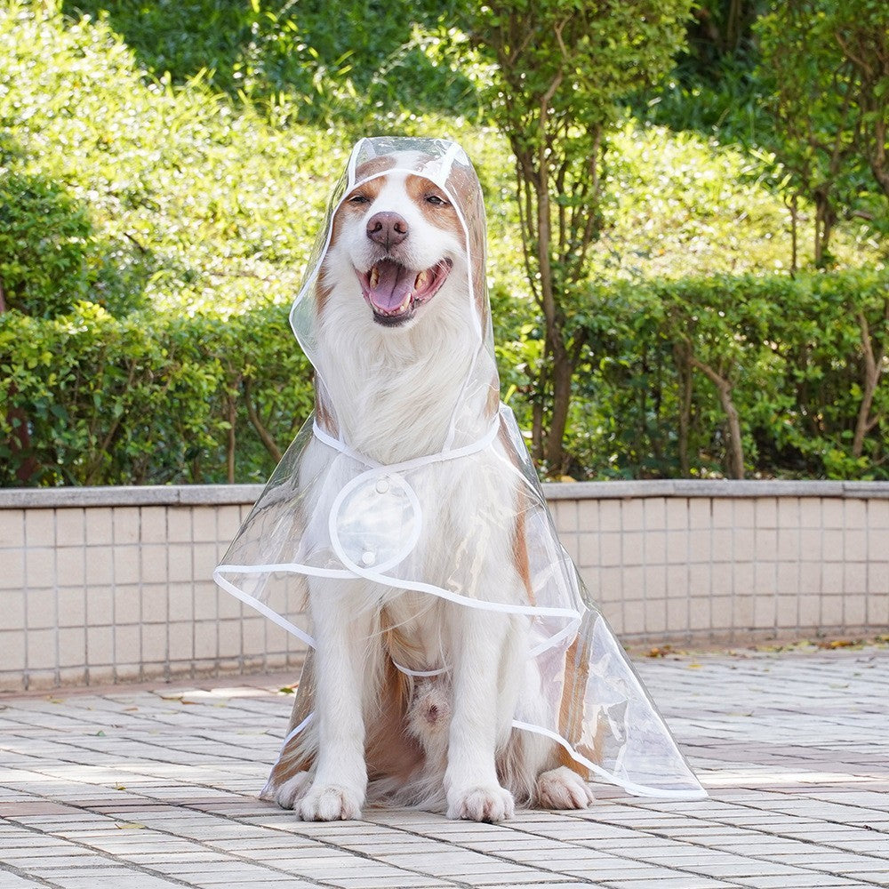 Transparent Dog Raincoat for Small & Medium Pets – Waterproof Hooded EVA Jacket