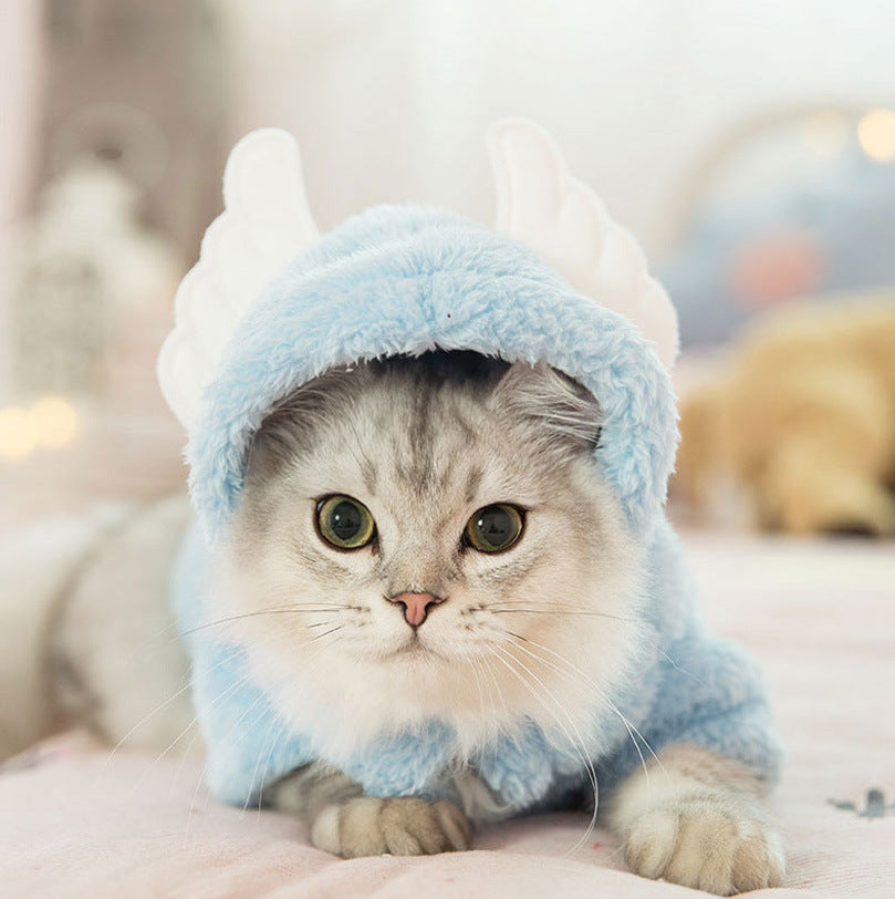 Cute Cotton Cat Clothes - Funny Rabbit, Bear, Tsundere Mini, & Angel Wings Styles