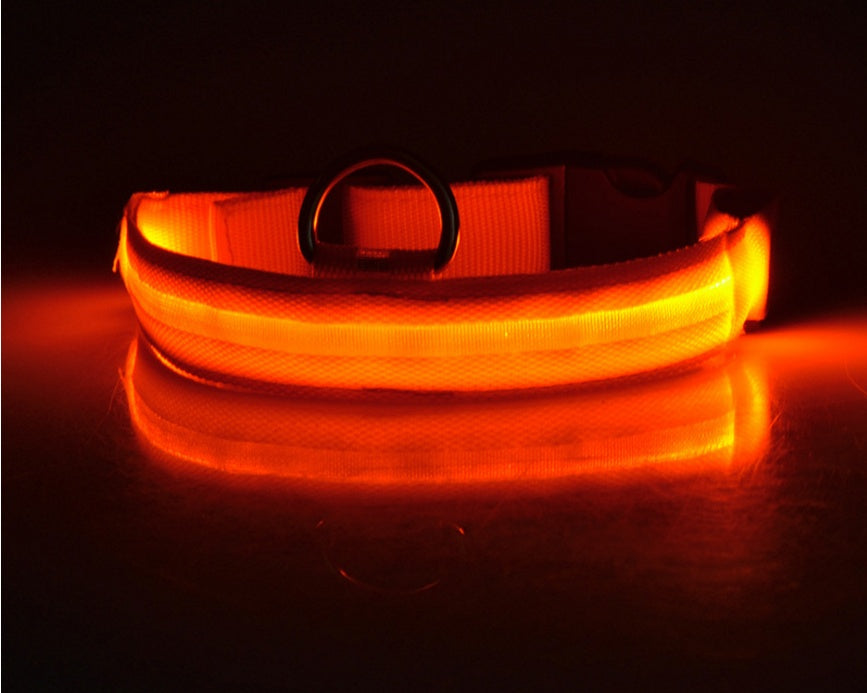 LED Nylon Safety Dog Collar – Adjustable, Waterproof, Rechargeable – 7 Color Options
