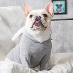 Cozy Bunny-Ear Pet Hoodie – Soft & Warm Dog Sweatshirt