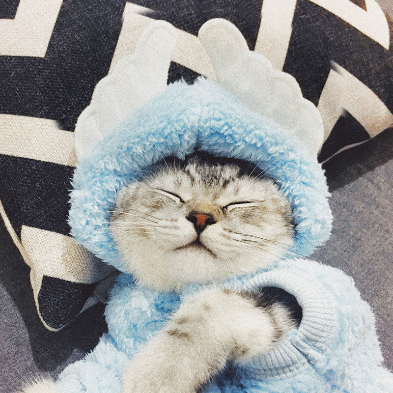 Cute Cotton Cat Clothes - Funny Rabbit, Bear, Tsundere Mini, & Angel Wings Styles