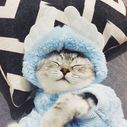 Cute Cotton Cat Clothes - Funny Rabbit, Bear, Tsundere Mini, & Angel Wings Styles