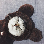 Cute Cotton Cat Clothes - Funny Rabbit, Bear, Tsundere Mini, & Angel Wings Styles