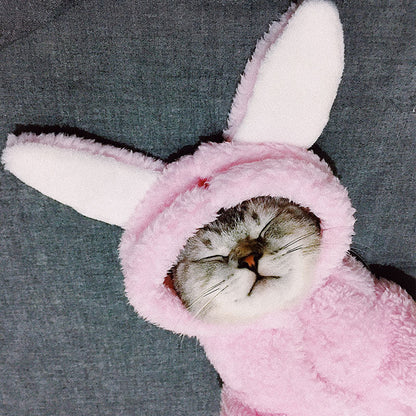 Cute Cotton Cat Clothes - Funny Rabbit, Bear, Tsundere Mini, & Angel Wings Styles