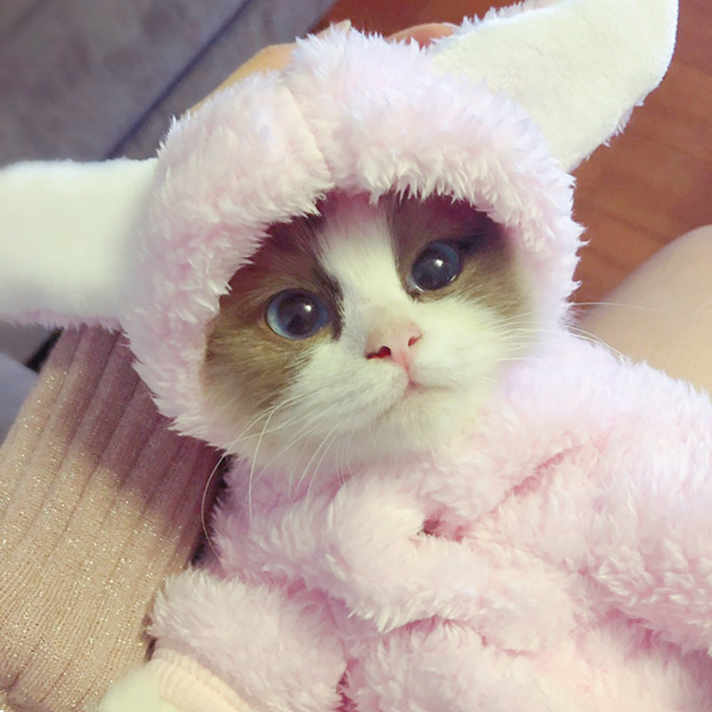 Cute Cotton Cat Clothes - Funny Rabbit, Bear, Tsundere Mini, & Angel Wings Styles