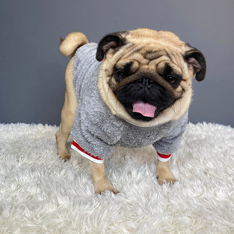 Soft Cotton Dog Apparel – Comfortable & Stylish