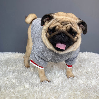 Soft Cotton Dog Apparel – Comfortable & Stylish