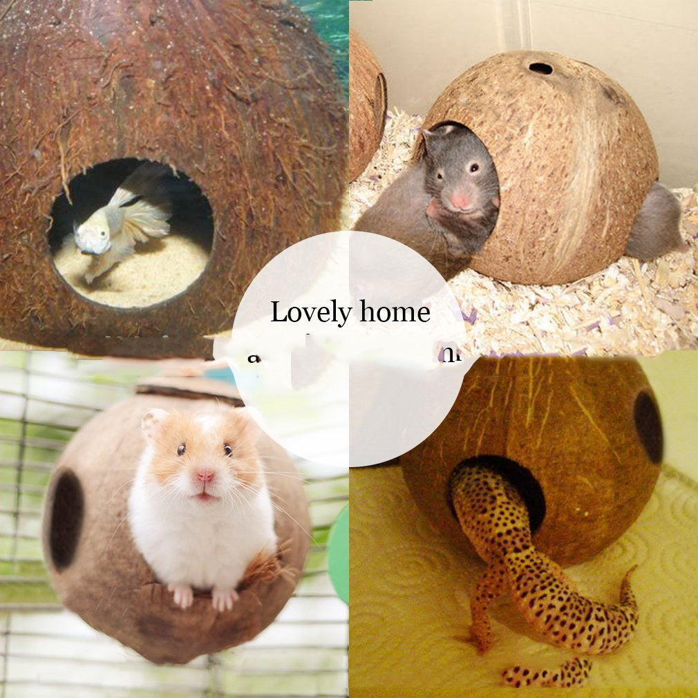 Natural Coconut Shell Bird Nest Hanging House | Eco-Friendly Small Pet Shelter