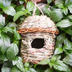 Handcrafted Natural Bird Nest - Eco-Friendly Mountain Grass Shelter