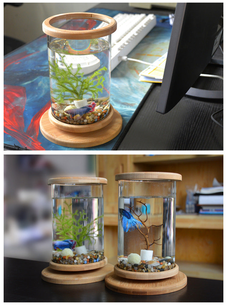 EcoSphere Bamboo Glass Terrarium – Mini Decorative Plant Holder