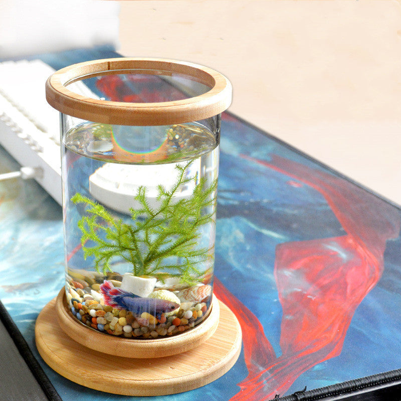 EcoSphere Bamboo Glass Terrarium – Mini Decorative Plant Holder