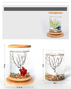 EcoSphere Bamboo Glass Terrarium – Mini Decorative Plant Holder