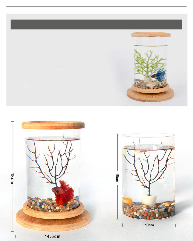 EcoSphere Bamboo Glass Terrarium – Mini Decorative Plant Holder