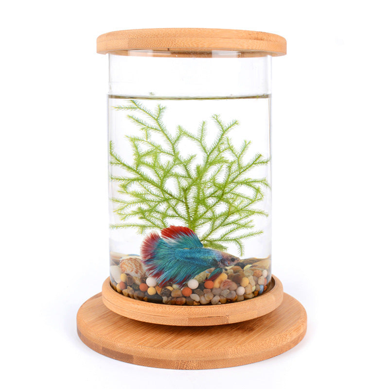 EcoSphere Bamboo Glass Terrarium – Mini Decorative Plant Holder