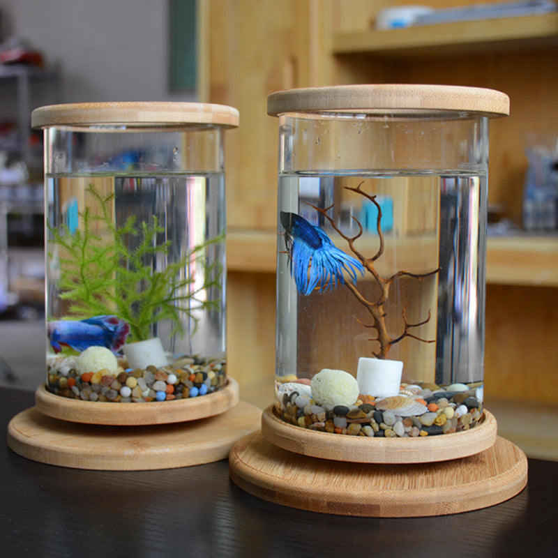 EcoSphere Bamboo Glass Terrarium – Mini Decorative Plant Holder