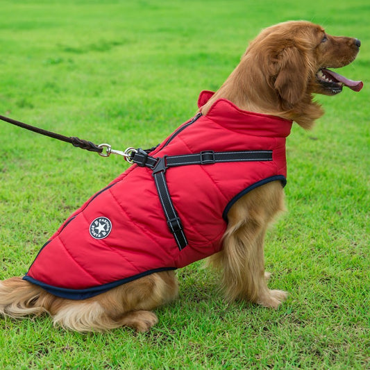 Waterproof Cotton Dog Vest – Comfortable & Stylish in Red, Army Green, Navy Blue, Black & Purple