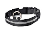 LED Nylon Safety Dog Collar – Adjustable, Waterproof, Rechargeable – 7 Color Options