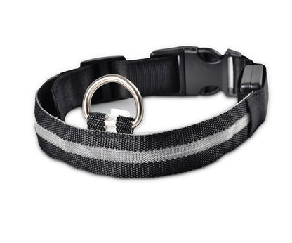 LED Nylon Safety Dog Collar – Adjustable, Waterproof, Rechargeable – 7 Color Options