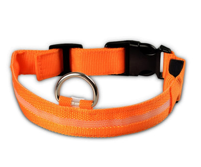 LED Nylon Safety Dog Collar – Adjustable, Waterproof, Rechargeable – 7 Color Options