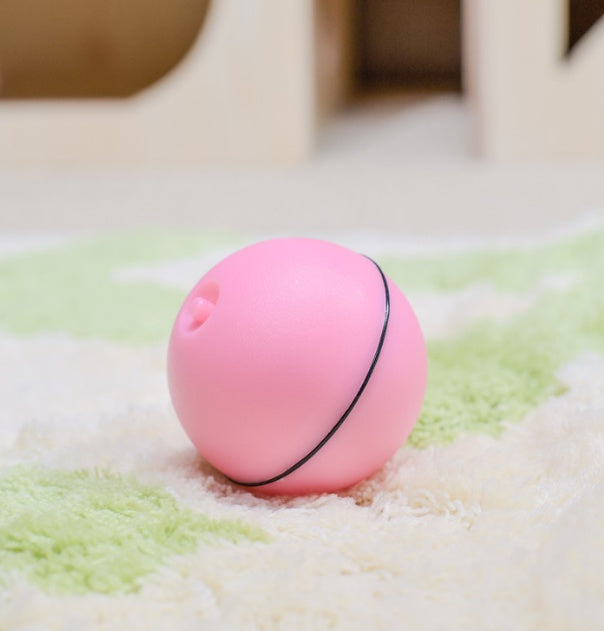 Automatic Interactive Cat Toy Ball with LED Lights & Catnip | USB Rechargeable Pet Toy for Cats & Kittens