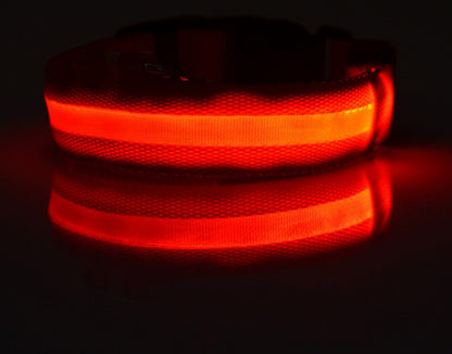 LED Nylon Safety Dog Collar – Adjustable, Waterproof, Rechargeable – 7 Color Options