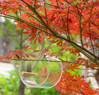 Transparent Acrylic Bird Feeder Food Box