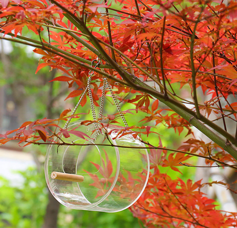 Transparent Acrylic Bird Feeder Food Box