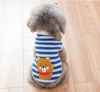 Gezellige wollen huisdierentrui - schattige dierenontwerpen voor katten