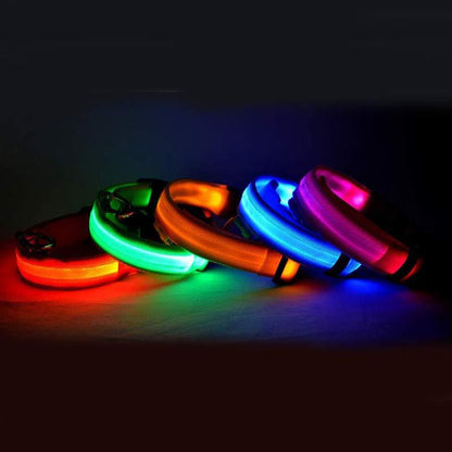 LED Nylon Safety Dog Collar – Adjustable, Waterproof, Rechargeable – 7 Color Options