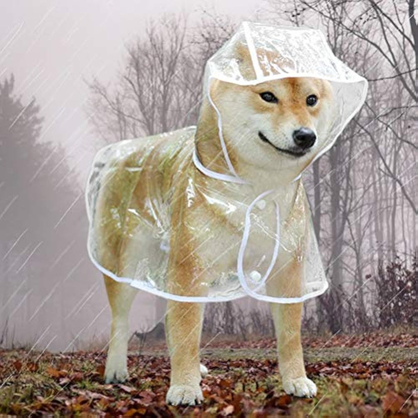 Transparent Dog Raincoat for Small & Medium Pets – Waterproof Hooded EVA Jacket