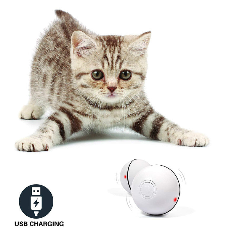 Automatic Interactive Cat Toy Ball with LED Lights & Catnip | USB Rechargeable Pet Toy for Cats & Kittens