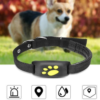 GPS Pet Tracker – High Accuracy & Waterproof Pet Locator