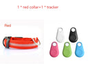 LED Flashing Dog Collar - Rechargeable with Multiple Light Modes