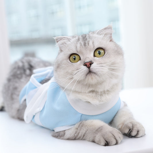 Breathable Cable Tie Surgical Gown for Pets – Casual Polyester Pet Clothes in Blue & White