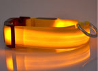LED Nylon Safety Dog Collar – Adjustable, Waterproof, Rechargeable – 7 Color Options