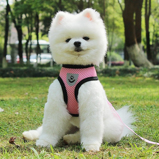 Adjustable Breathable Pet Harness with Leash Set – No Pull Dog Vest for Small, Medium, and Large Dogs
