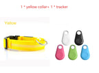 LED Flashing Dog Collar - Rechargeable with Multiple Light Modes