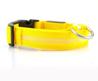 LED Nylon Safety Dog Collar – Adjustable, Waterproof, Rechargeable – 7 Color Options