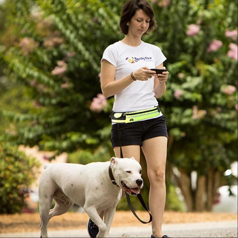 Hands-Free Dog Leash Belt with Adjustable Waist Strap and Bungee Leash – Ideal for Running, Walking & Hiking