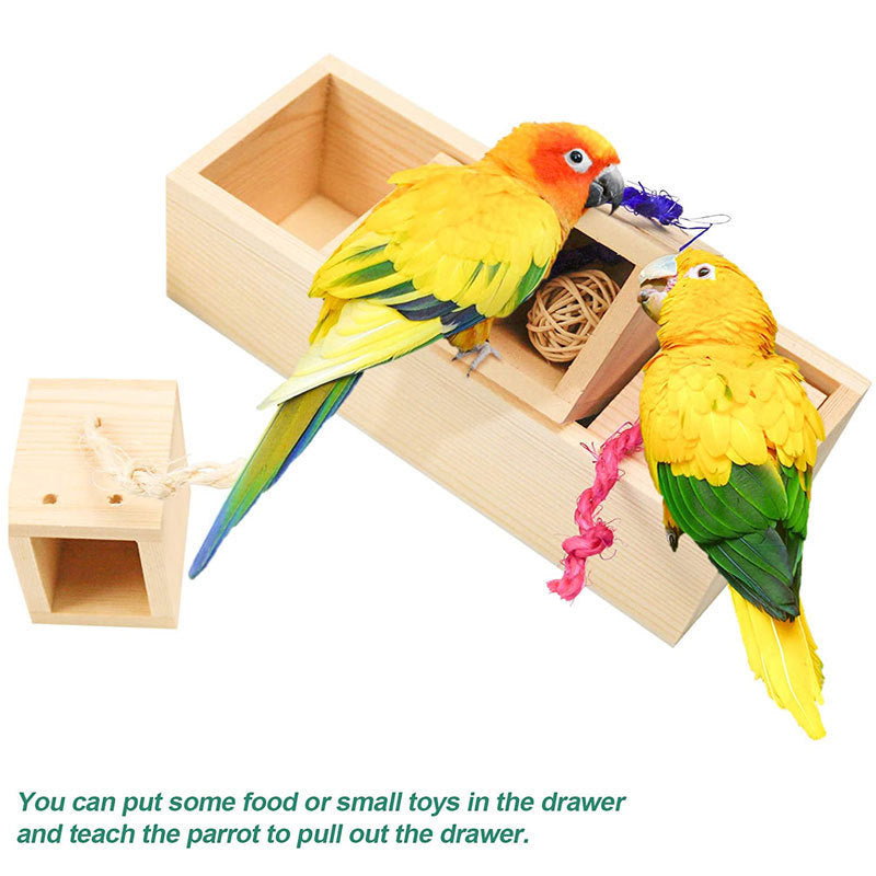 Houten papegaaienspeelgoedpuzzeltrainingsset - Vogelbenodigdheden