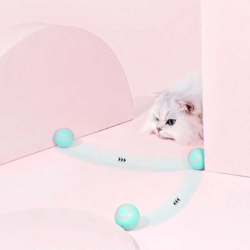 PurrJoy RC Electric Cat Toy Car – Interactive Remote Control Playmate