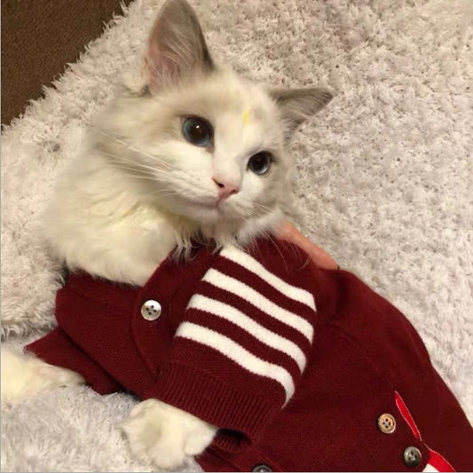 Breathable Soft Pet T-Shirt – Comfortable & Stylish for Your Furry Friend